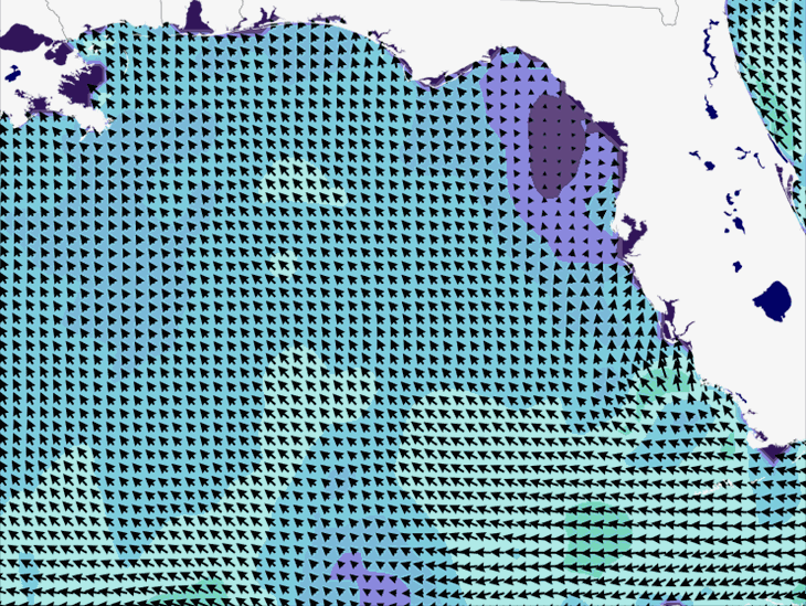 Wave Model Wind Forecast