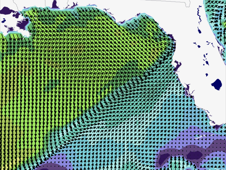 Wave Model Wind Forecast