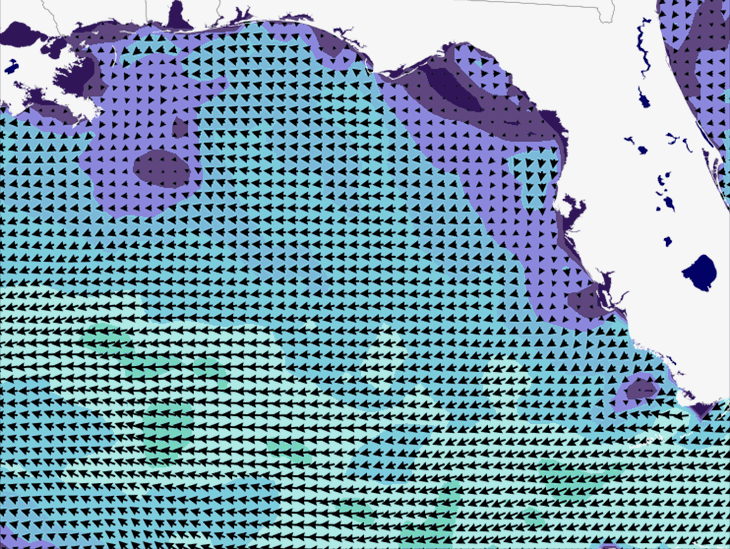 Wave Model Wind Forecast