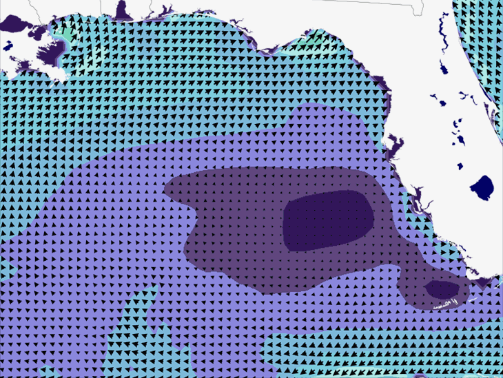 Wave Model Wind Forecast