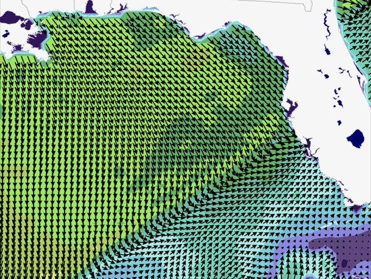 Wave Model Wind Forecast