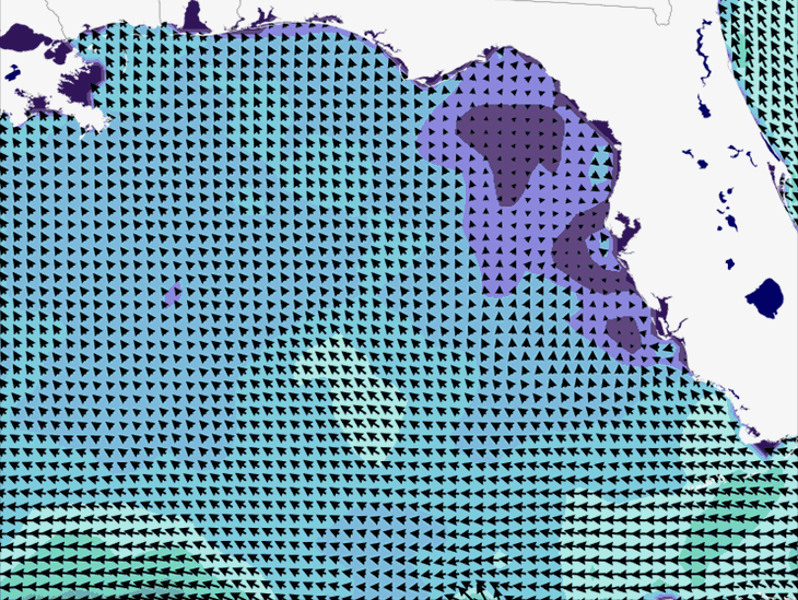 Wave Model Wind Forecast