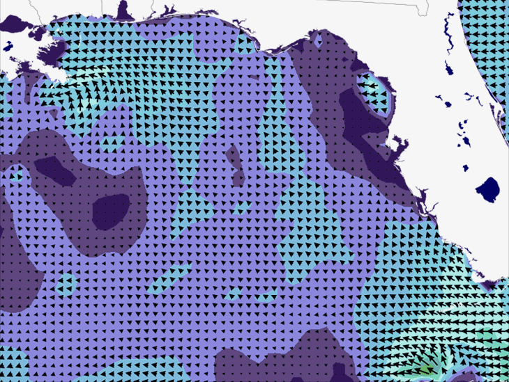 Wave Model Wind Forecast