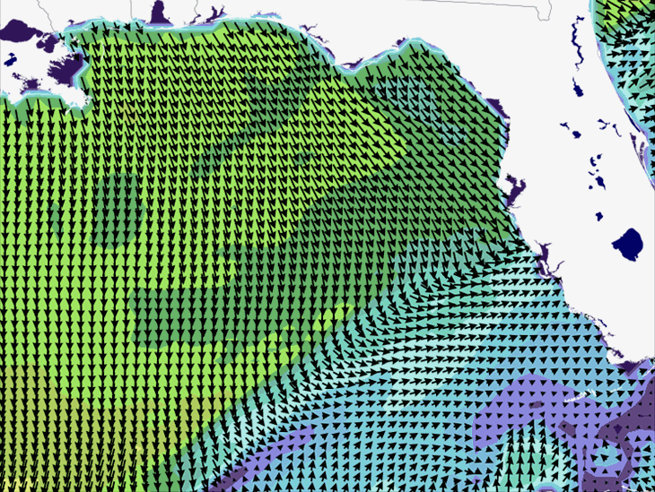 Wave Model Wind Forecast