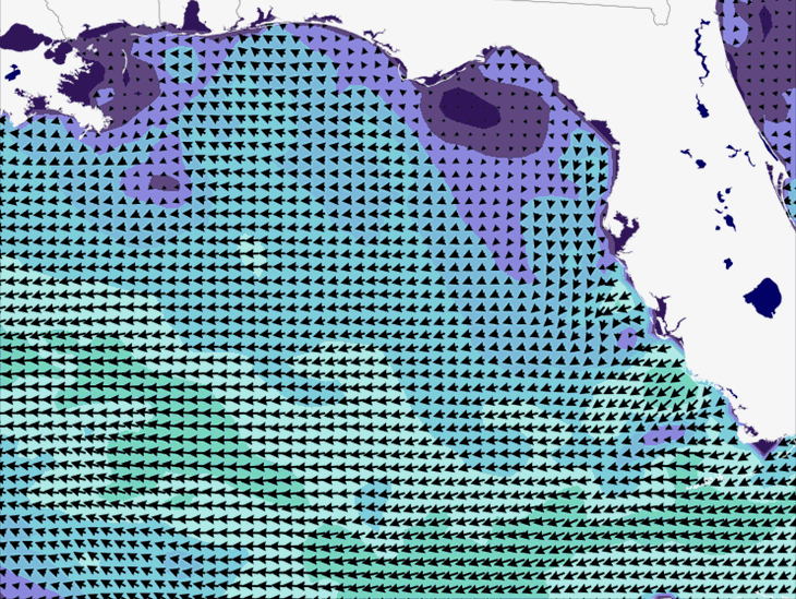 Wave Model Wind Forecast