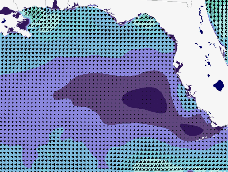 Wave Model Wind Forecast