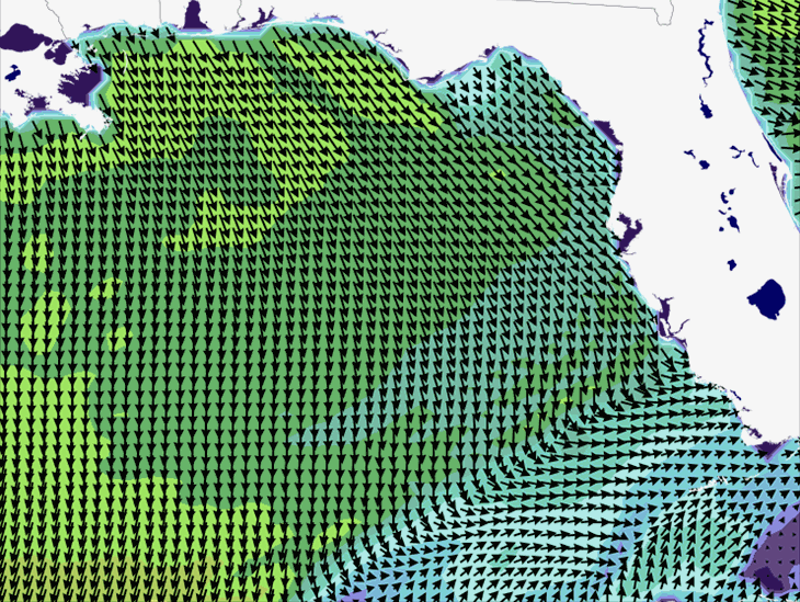 Wave Model Wind Forecast