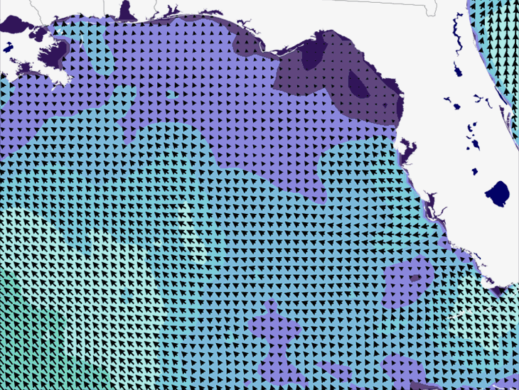 Wave Model Wind Forecast