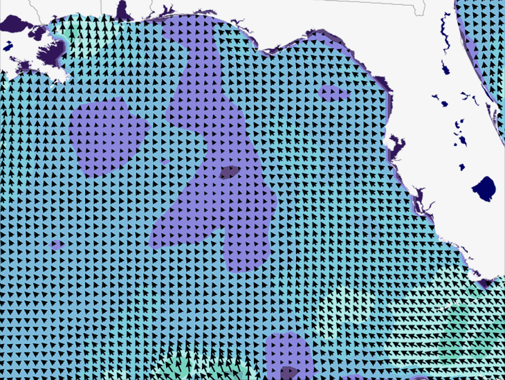 Wave Model Wind Forecast
