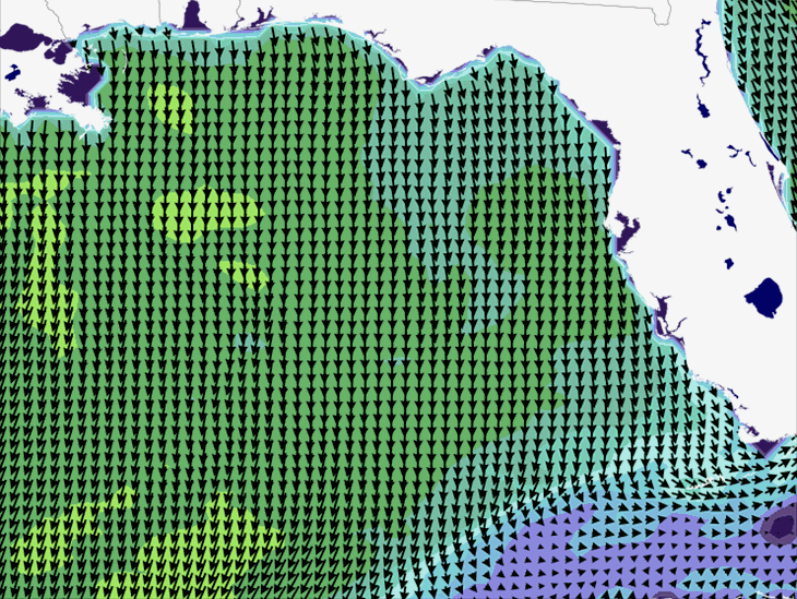 Wave Model Wind Forecast