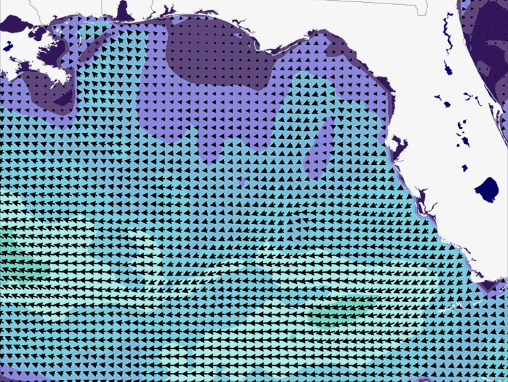 Wave Model Wind Forecast