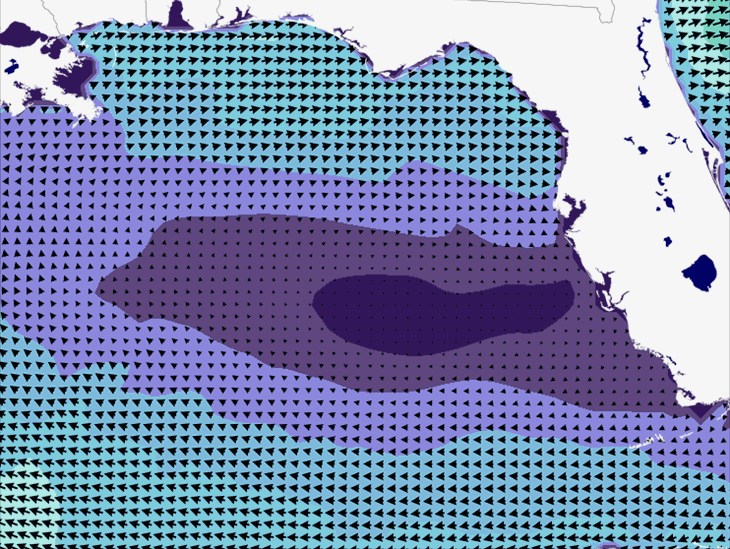 Wave Model Wind Forecast