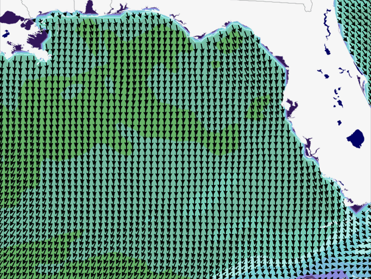 Wave Model Wind Forecast