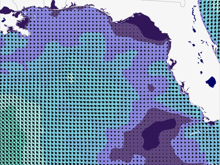 Wave Model Wind Forecast