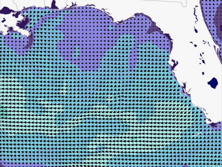 Wave Model Wind Forecast