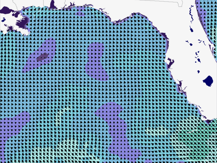 Wave Model Wind Forecast
