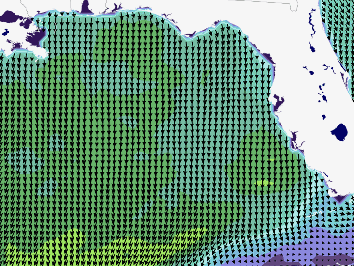Wave Model Wind Forecast