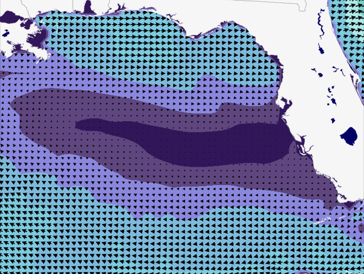 Wave Model Wind Forecast