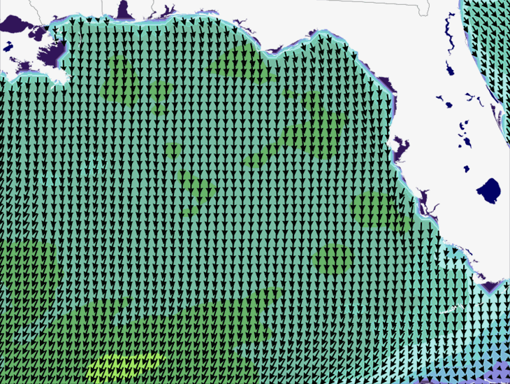 Wave Model Wind Forecast