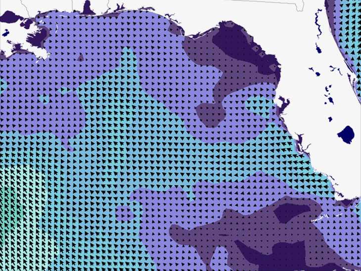 Wave Model Wind Forecast