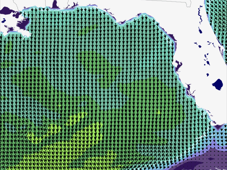 Wave Model Wind Forecast