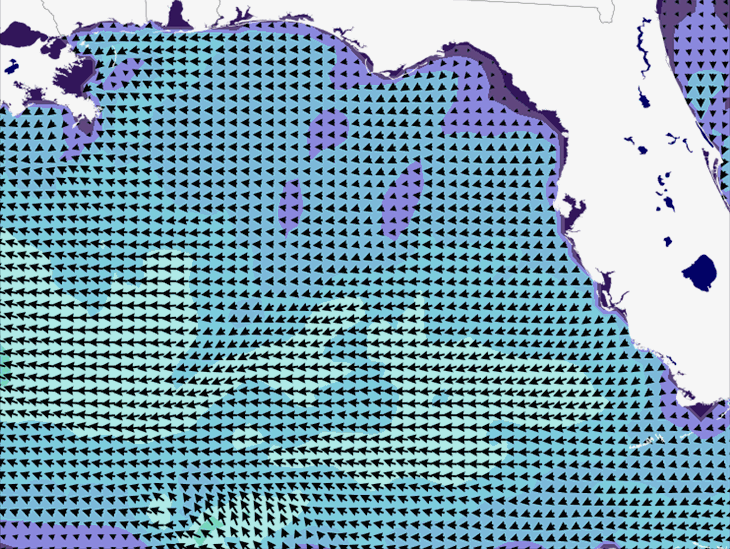 Wave Model Wind Forecast