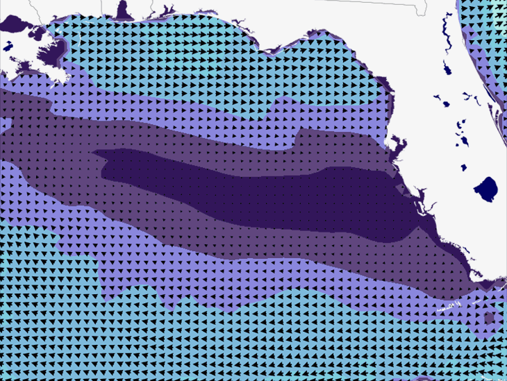 Wave Model Wind Forecast