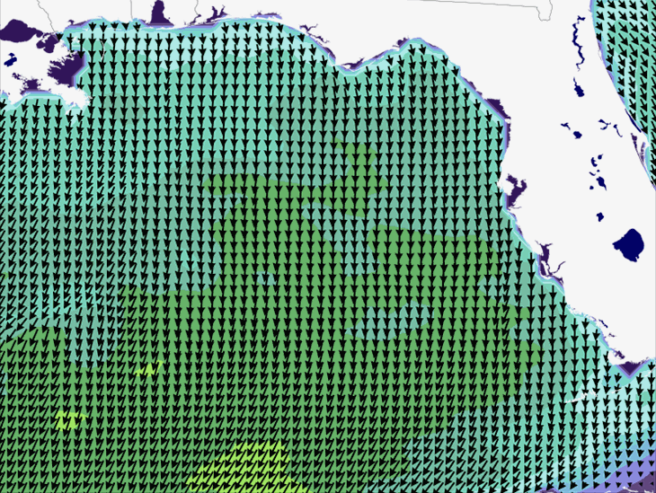 Wave Model Wind Forecast
