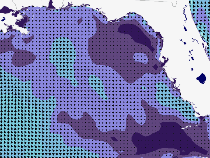 Wave Model Wind Forecast