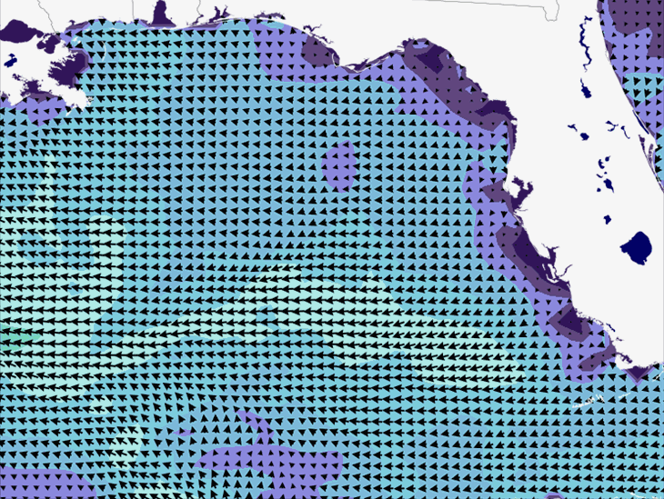 Wave Model Wind Forecast