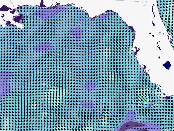 Wave Model Wind Forecast