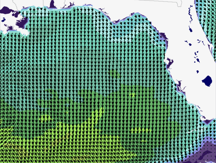 Wave Model Wind Forecast