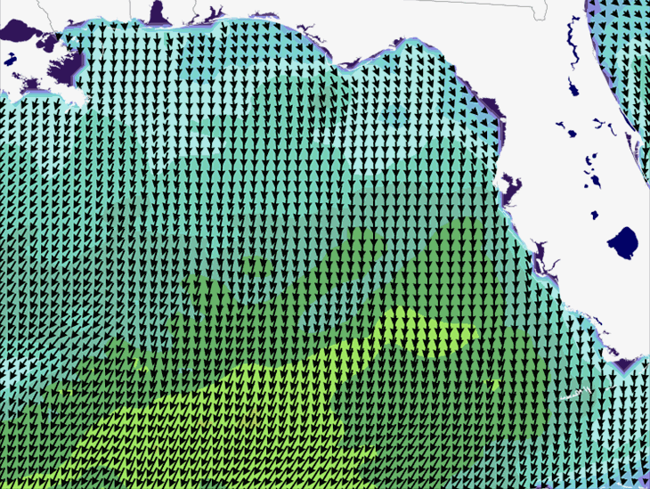 Wave Model Wind Forecast
