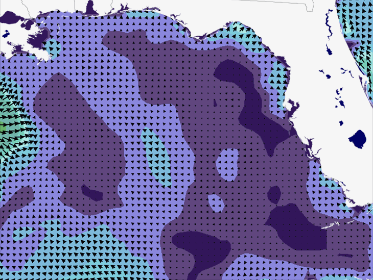 Wave Model Wind Forecast