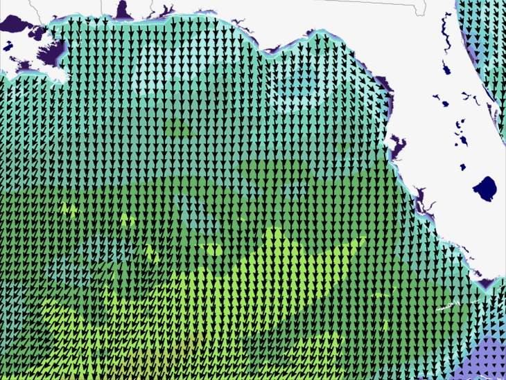Wave Model Wind Forecast