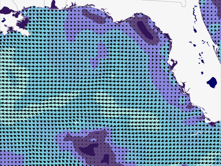 Wave Model Wind Forecast