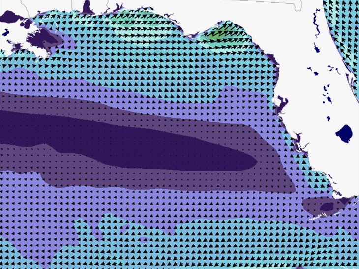 Wave Model Wind Forecast