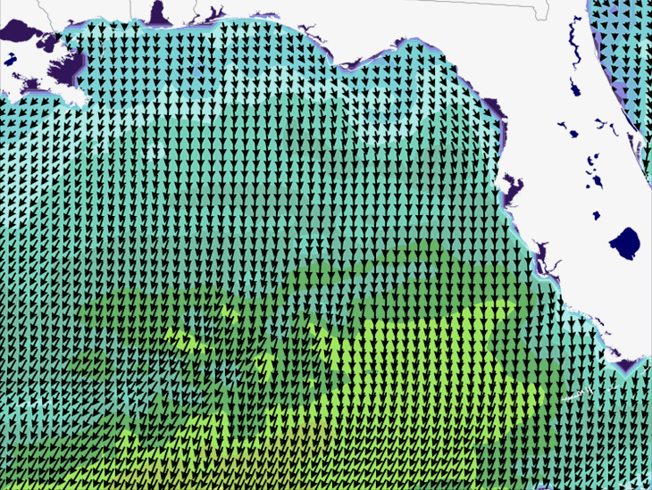 Wave Model Wind Forecast