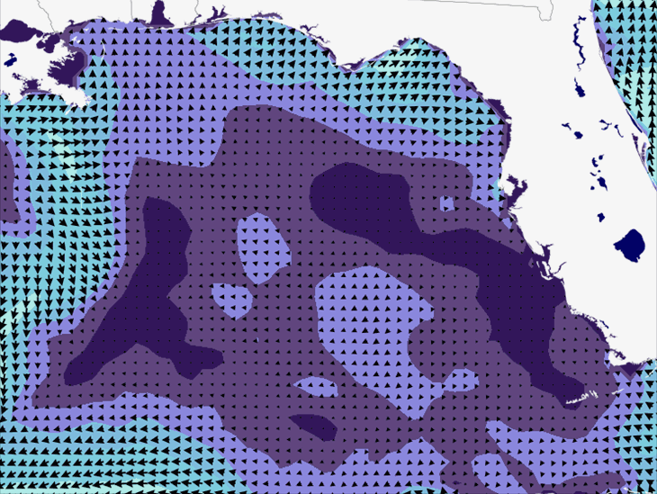 Wave Model Wind Forecast