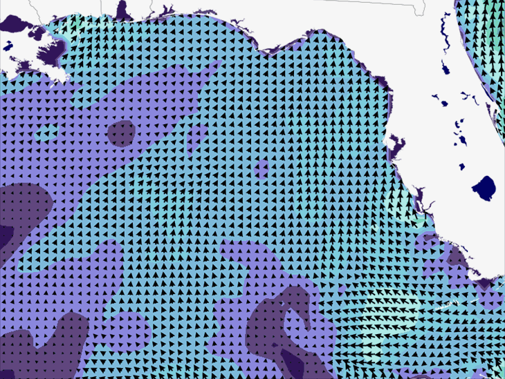 Wave Model Wind Forecast