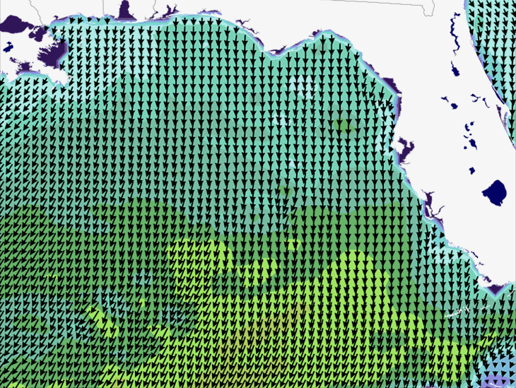 Wave Model Wind Forecast
