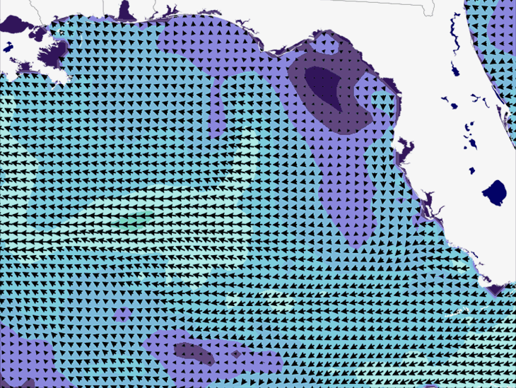 Wave Model Wind Forecast