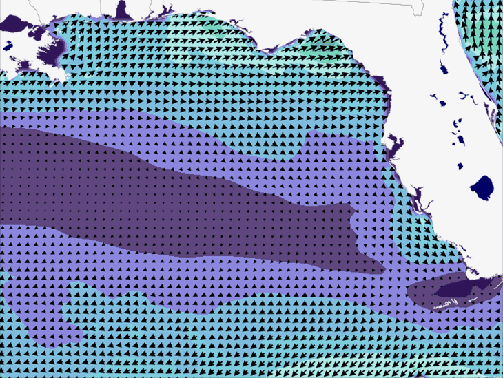 Wave Model Wind Forecast