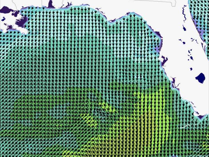 Wave Model Wind Forecast