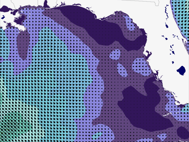 Wave Model Wind Forecast
