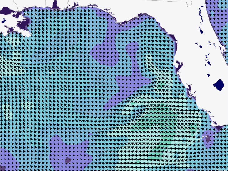 Wave Model Wind Forecast