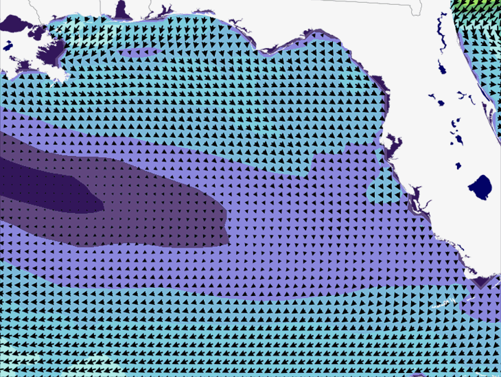 Wave Model Wind Forecast