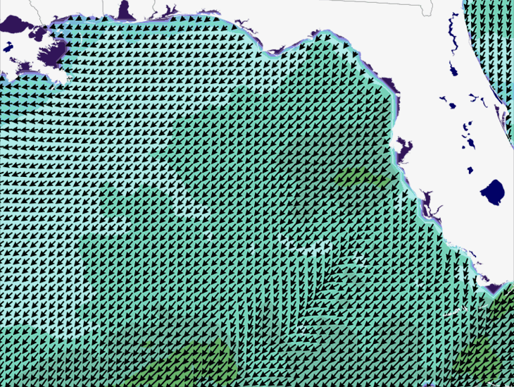 Wave Model Wind Forecast