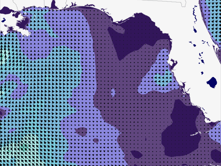 Wave Model Wind Forecast