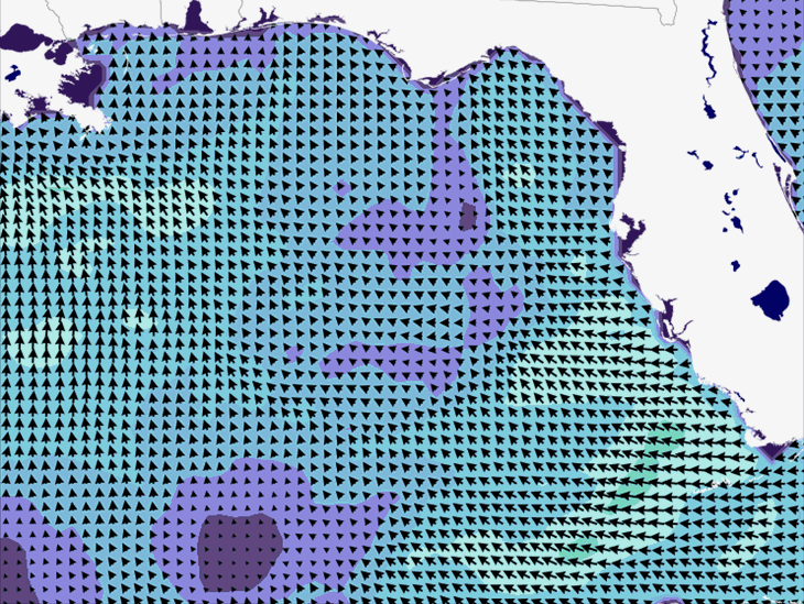 Wave Model Wind Forecast